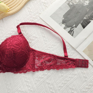Elegant Lace Underwire Push Up Bra and Panty Set