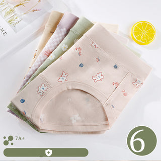 https://cbu01.alicdn.com/img/ibank/O1CN01jpQB371sEgMKpnfui_!!994605735-0-cib.jpg